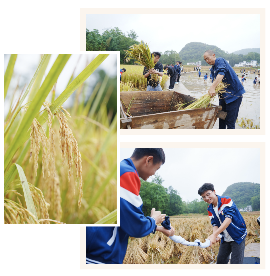 WX20250924-103106@2x.png